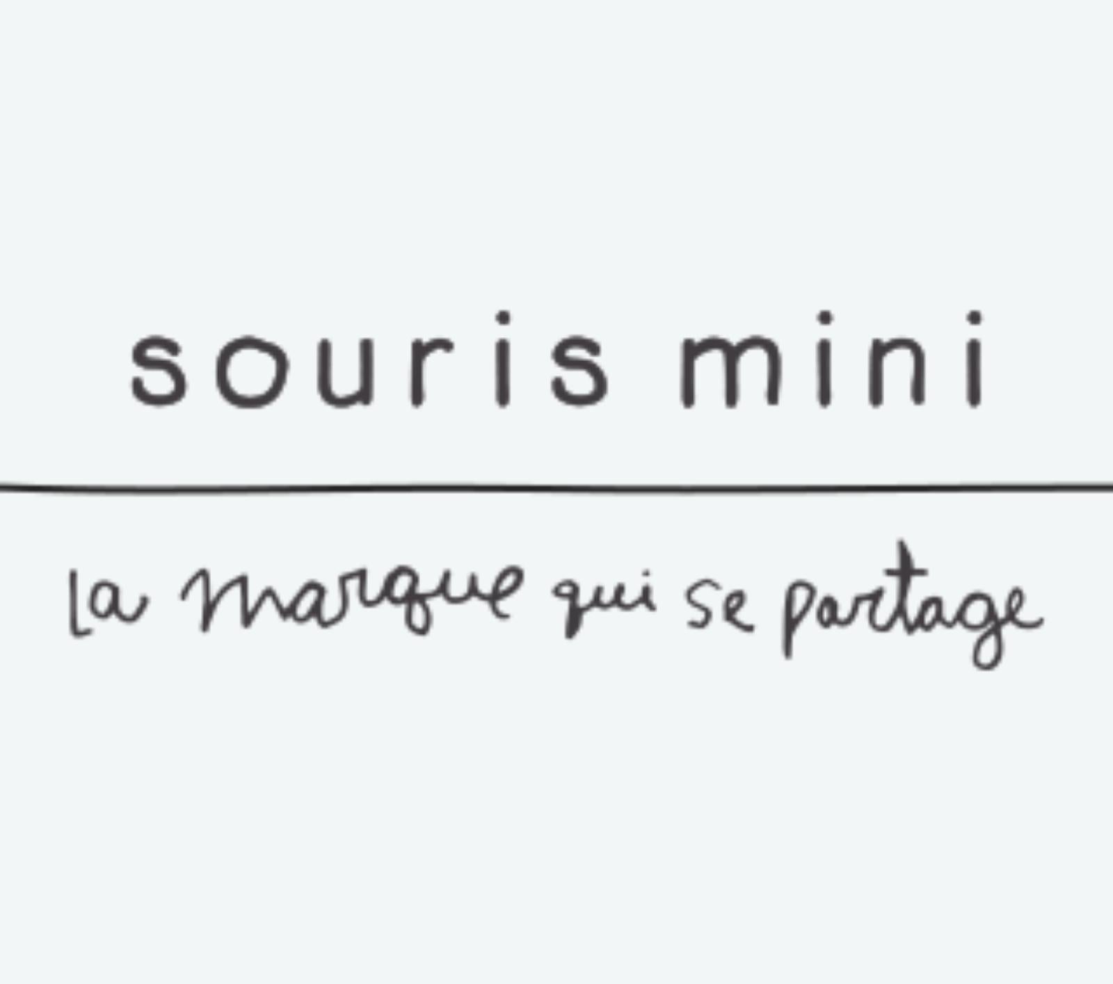 friperie souris mini