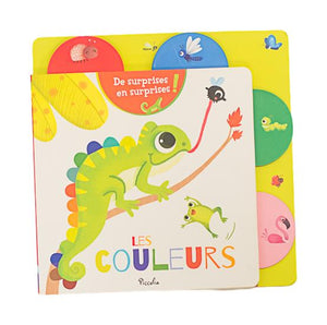 PICCOLIA - LES COULEURS