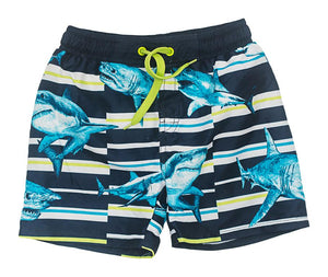 BOBOLI - 4 ANS