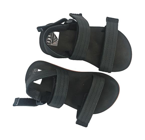 REEF - 7/8 (ENVIRON 2-3 ANS)