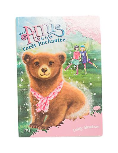 POCKET JEUNESSE - MES AMIS DE LA FORÊT ENCHANTÉE (T.13)