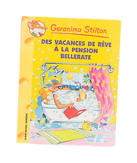 ALBIN MICHEL JEUNESSE - GERONIMO STILTON - DES VACANCES DE RÊVE TOME 27