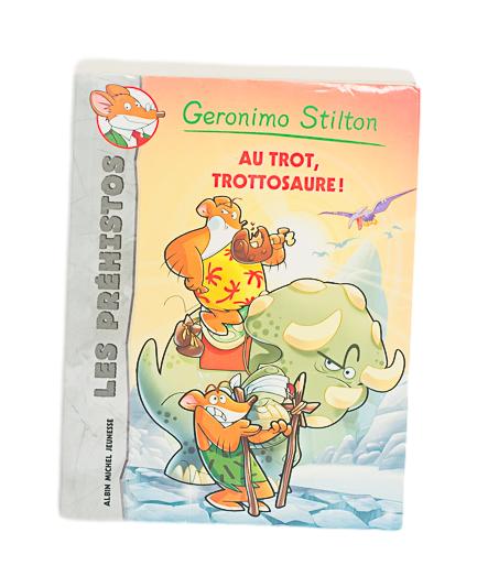 ALBIN MICHEL JEUNESSE - GERONIMO STILTON - AU TROT, TROTTOSAURE ! TOME 4