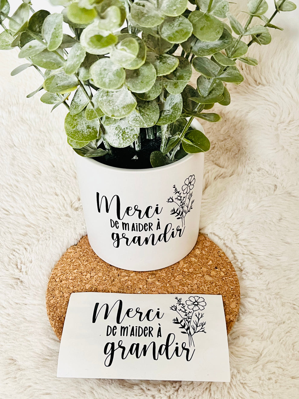 MINI & CHOU - AUTOCOLLANT  (4 modèles disponibles)