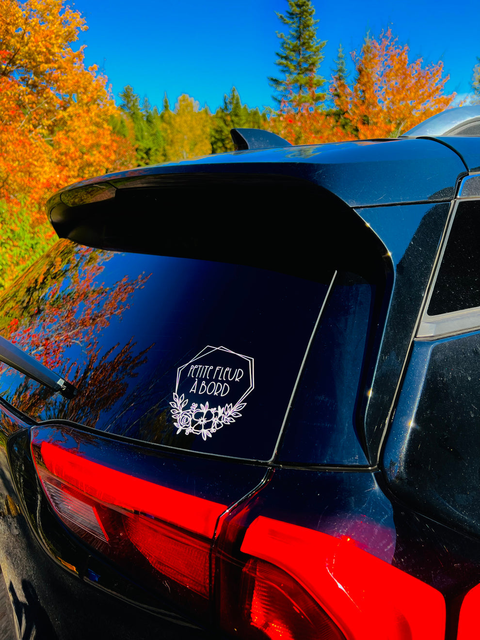 MINI & CHOU - AUTOCOLLANT POUR LA VOITURE (3 modèles disponibles)