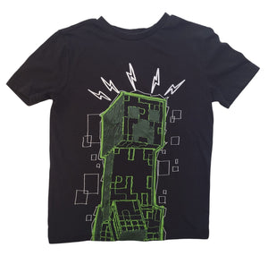 MINECRAFT - 6 ANS