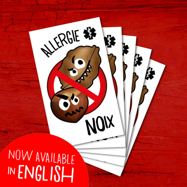 PICO TATOO - TATOUAGES TEMPORAIRES ALLERGIE