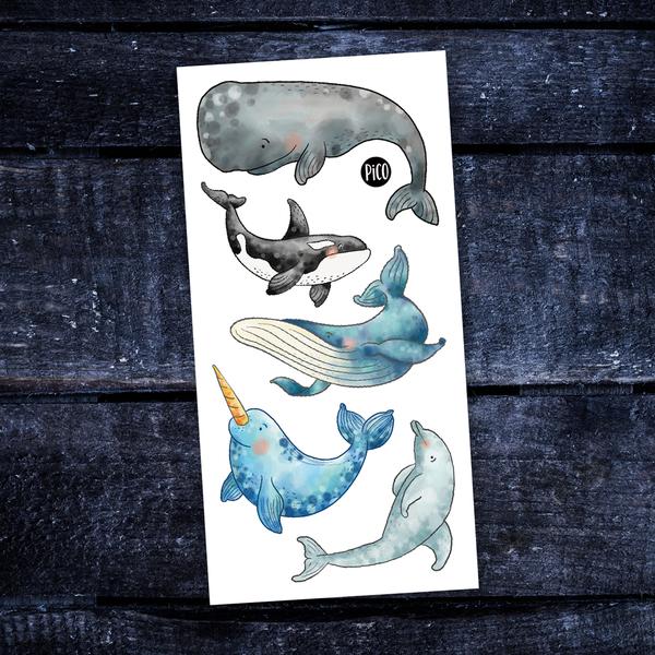 PICO TATOO (MODÈLES AU CHOIX)